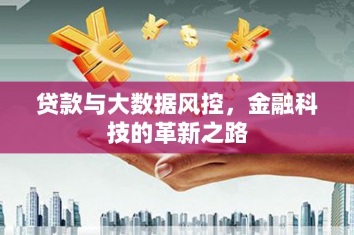 都昌贷款与大数据风控，金融科技的革新之路