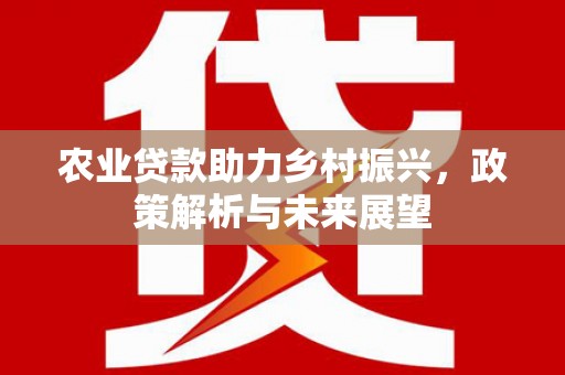 都昌农业贷款助力乡村振兴，政策解析与未来展望
