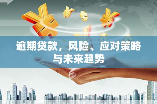 都昌逾期贷款，风险、应对策略与未来趋势