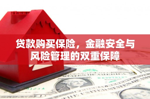 都昌贷款购买保险，金融安全与风险管理的双重保障