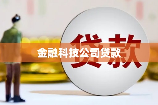 都昌金融科技公司贷款