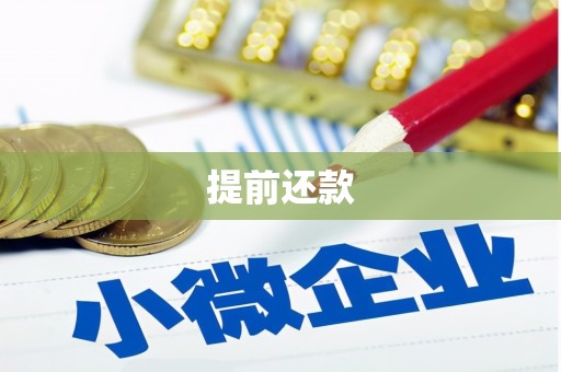 都昌提前还款