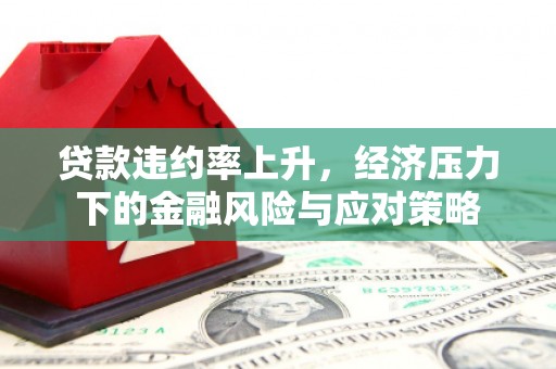 都昌贷款违约率上升，经济压力下的金融风险与应对策略