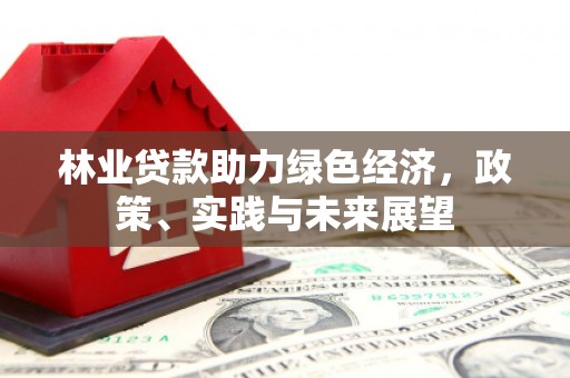 都昌林业贷款助力绿色经济，政策、实践与未来展望