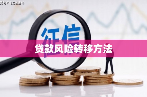 都昌贷款风险转移方法