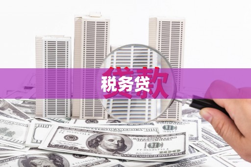 都昌税务贷