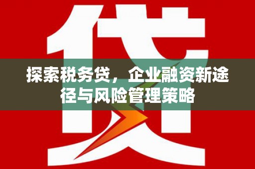 都昌探索税务贷，企业融资新途径与风险管理策略