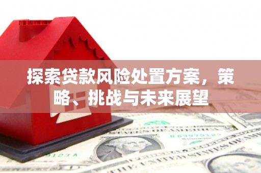都昌探索贷款风险处置方案，策略、挑战与未来展望