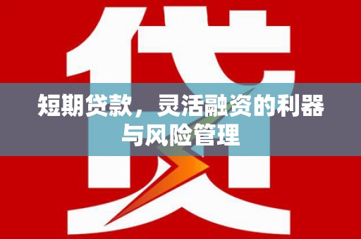 都昌短期贷款，灵活融资的利器与风险管理