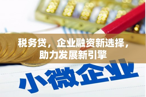 都昌税务贷，企业融资新选择，助力发展新引擎
