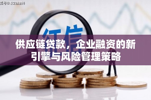 都昌供应链贷款，企业融资的新引擎与风险管理策略