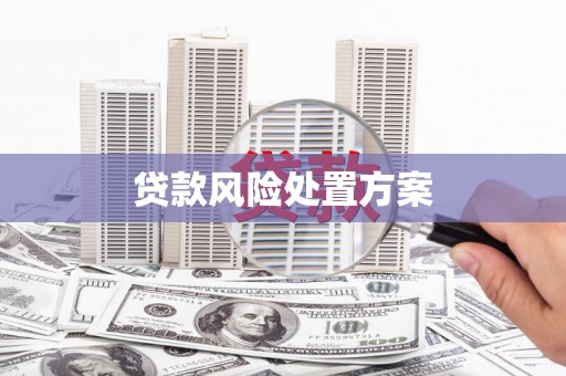 都昌贷款风险处置方案