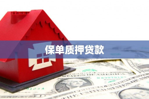 都昌保单质押贷款