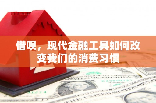 都昌借呗，现代金融工具如何改变我们的消费习惯