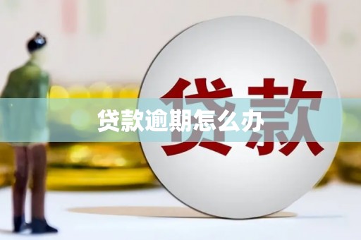 都昌贷款逾期怎么办