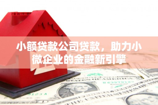 都昌小额贷款公司贷款，助力小微企业的金融新引擎