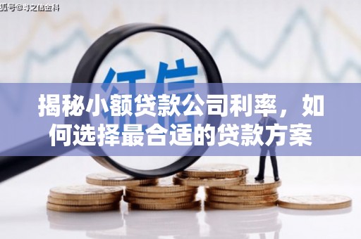 都昌揭秘小额贷款公司利率，如何选择最合适的贷款方案