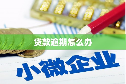 都昌贷款逾期怎么办