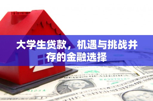 都昌大学生贷款，机遇与挑战并存的金融选择