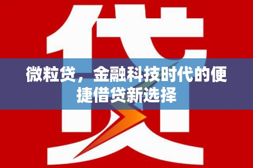 都昌微粒贷，金融科技时代的便捷借贷新选择