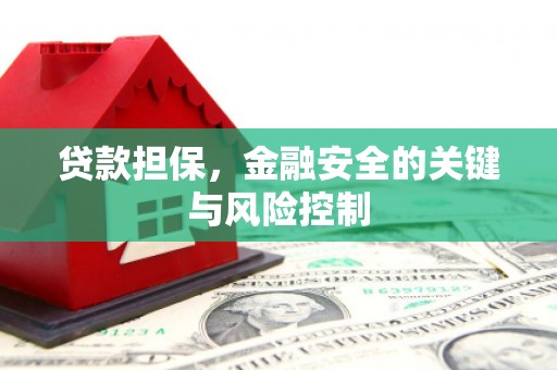 都昌贷款担保，金融安全的关键与风险控制