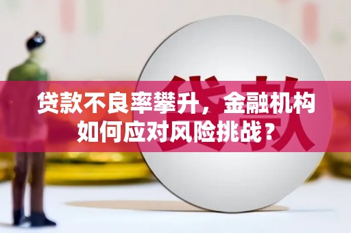 都昌贷款不良率攀升，金融机构如何应对风险挑战？