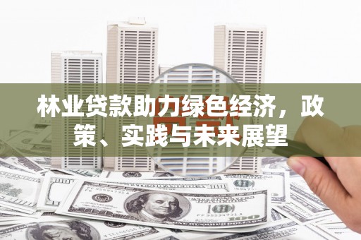 都昌林业贷款助力绿色经济，政策、实践与未来展望
